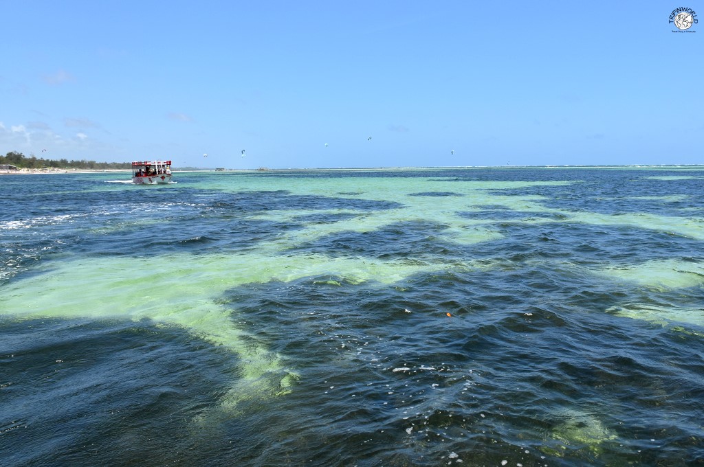 escursioni da watamu nel parco marino