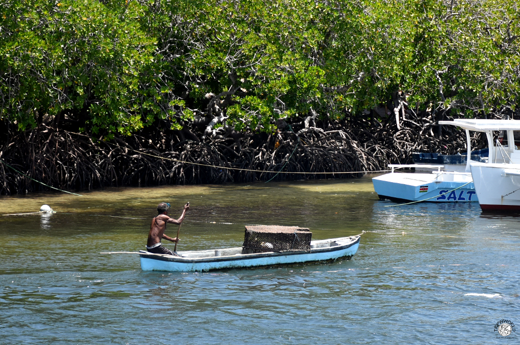 pescatore nel mida creek watamu