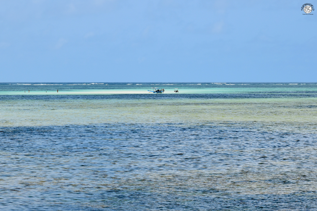 escursioni da watamu atollo di sabbia jacaranda beach