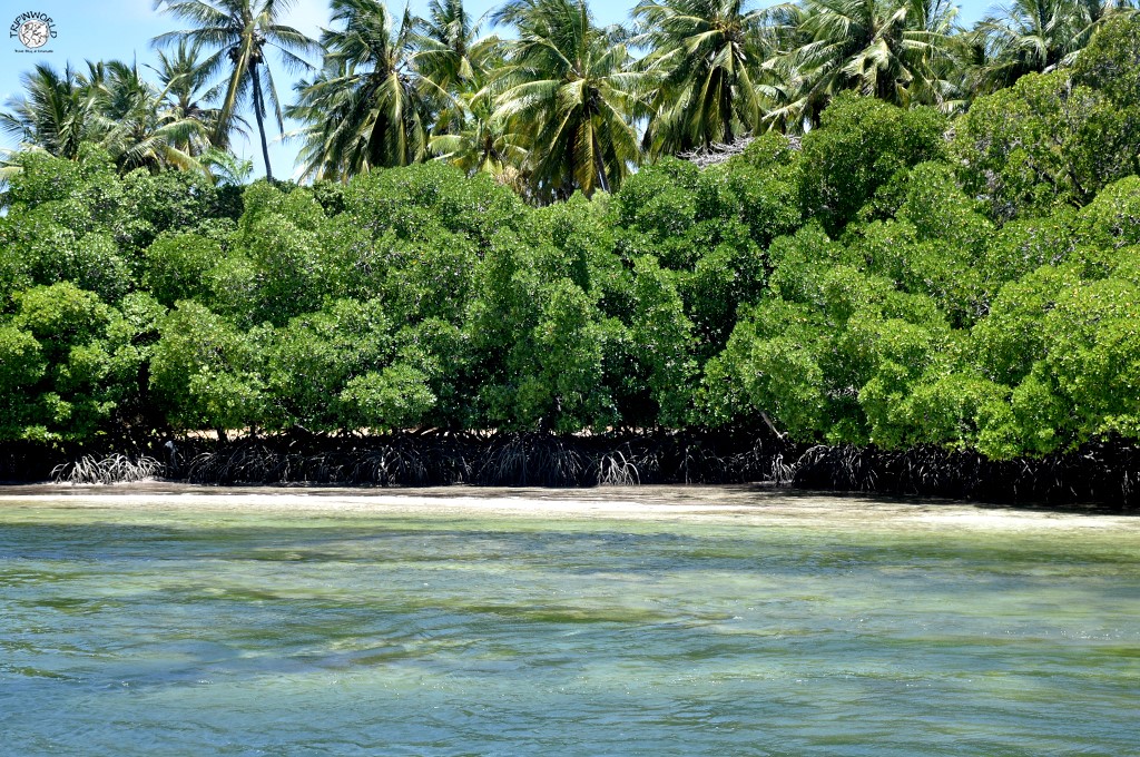 escursioni da watamu sponda occidentale mida creek