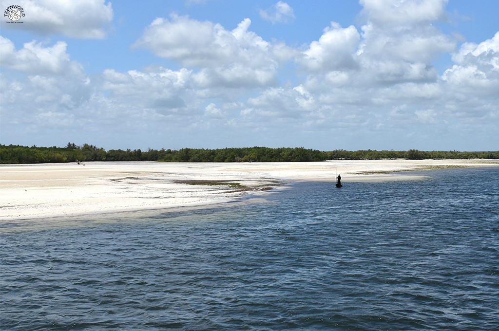 sponda orientale mida creek escursioni da watamu